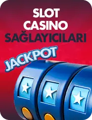 Sağlayıcılar